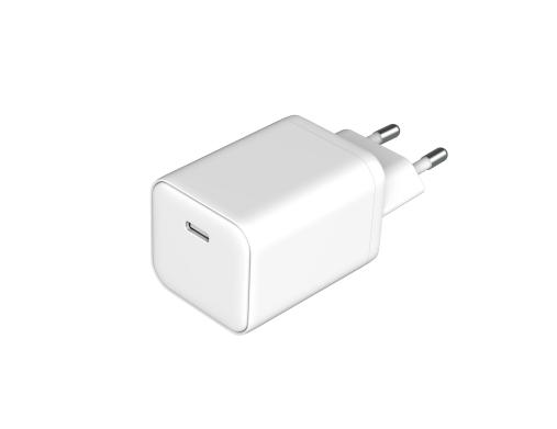 D55 1C Charger